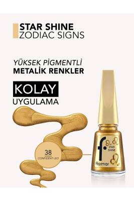 Aslan Burcu - Star Shine Yüksek Pigmentli & Parlak Bitişli Metalik Oje - 3