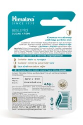 Besleyici Dudak Kremi, Buğday Tohumu Yağı, Nemlendirici, %100 Doğal Renk, Silikon Içermez, 4,5 gr - 2