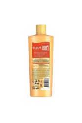 Collagen Blends Sülfatsız Saç Bakım Şampuanı Goodbye Hairfall Saç Dökülmelerine Karşı 350 ml - 8