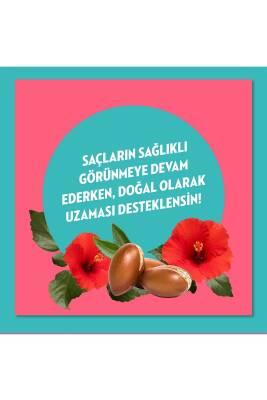 Doğanın Enerjisi Onarıcı Süper Saç Bakım Kremi Argan Yağı Hibiskus Özü 170 ml X2 - 5