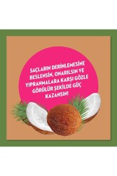 Doğanın Enerjisi Saç Bakım Şampuanı Hindistan Cevizi Yağı 400 ml Saç Bakım Kremi 350 ml - 5