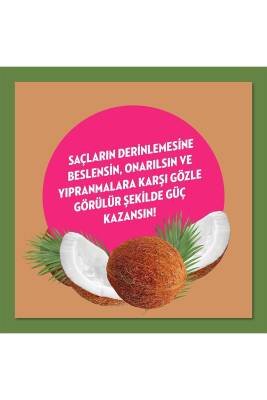 Doğanın Enerjisi Saç Bakım Şampuanı Hindistan Cevizi Yağı 400 ml Saç Bakım Kremi 350 ml - 5