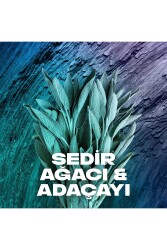 Erkek Sprey Deodorant Apollo 48 Saat Etkileyici Koku 200 ml X3 - 4