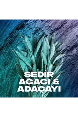 Erkek Sprey Deodorant Apollo 48 Saat Etkileyici Koku 200 ml X3 - 4