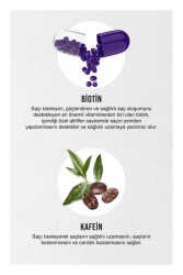 Expert Biotin ve Kafein Dökülme Karşıtı Şampuan Seti 4x350ml-vegan - 3