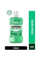 , Fresh Burst, Günlük Ağız Bakım Ürünü, Anti-bakteriyel Ağız Bakım Formülü, 250ml - 1