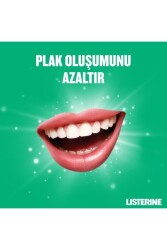 , Fresh Burst, Günlük Ağız Bakım Ürünü, Anti-bakteriyel Ağız Bakım Formülü, 250ml - 6