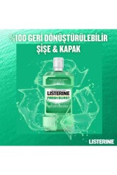 , Fresh Burst, Günlük Ağız Bakım Ürünü, Anti-bakteriyel Ağız Bakım Formülü, 250ml - 8