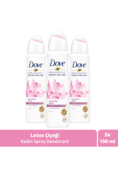 Kadın Sprey Deodorant Işıldayan Bakım Lotus Çiçeği Kokusu 150 ml X3 Adet - 14