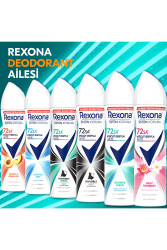 Kadın Sprey Deodorant Shower Fresh 72 Saat Kesintisiz Üstün Koruma 150 Mlx3 - 8