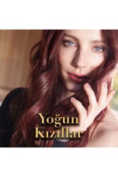 Koleston Single Tüp Boya 81 Açık Küllü Kumral - 5