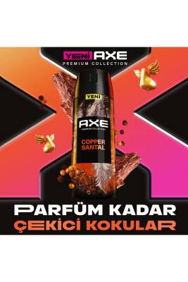 Premium Collection Erkek Sprey Deodorant Copper Santal 72 Saat Ferahlık 150 ml X3 - 3