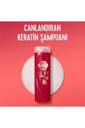 Şampuan Brezilya Keratin Terapisi Hidrolize Keratin Marula Yağı E Vitamini 400 ml X3 - 4