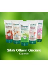 Siyah Noktalara Karşı Yüz Temizleme Jeli, Ceviz, Limon Otu, Parabensiz, Tüm Ciltler, 150 ml - 7